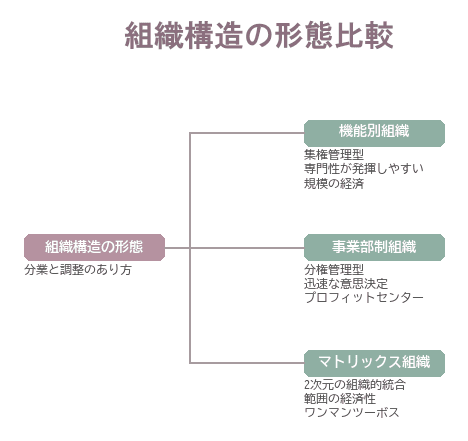 機能別組織・事業部制組織・マトリックス組織の3形態と、それぞれの特徴を整理した組織構造の比較図