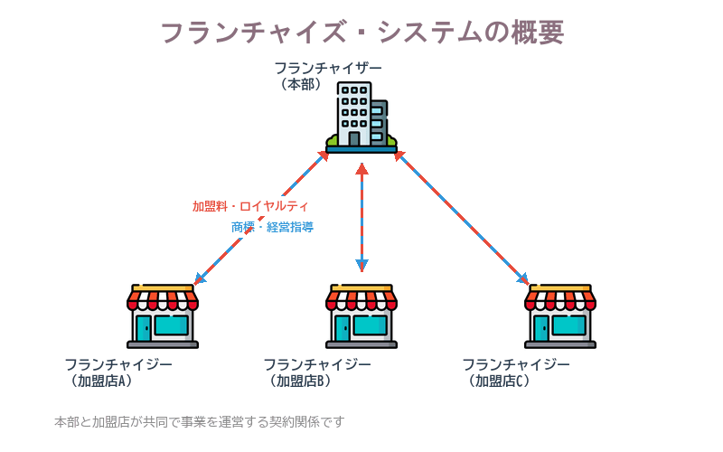 フランチャイズ・システムの構造。フランチャイザー(本部)とフランチャイジー(加盟店)の関係、商標使用権・経営ノウハウの提供と加盟料・ロイヤルティの支払いの流れを示す図