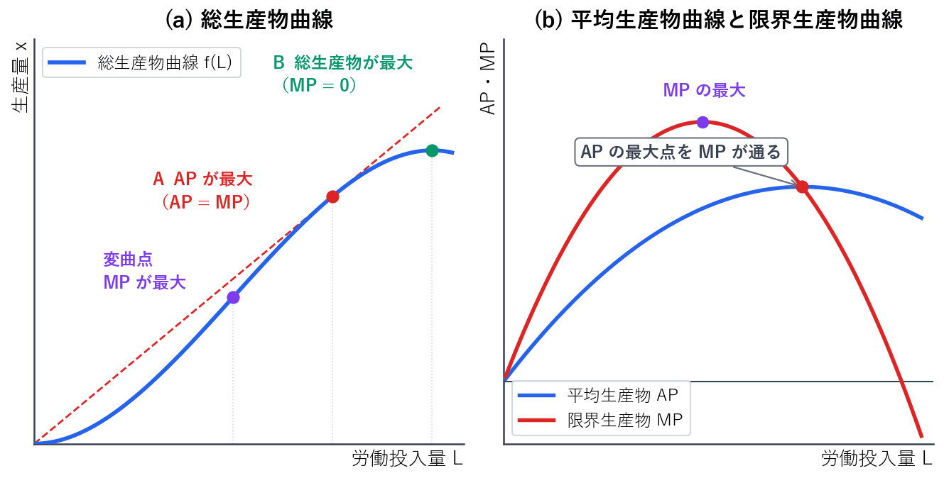左の図では、原点を通る直線が総生産物曲線に接する点で平均生産物が最大になり、そこでは平均生産物と限界生産物が一致します。曲線の変曲点では限界生産物が最大、曲線の最高点では限界生産物がゼロになります。右の図は平均生産物曲線と限界生産物曲線を並べたもので、限界生産物曲線が平均生産物曲線の最大点を通ることがわかります。