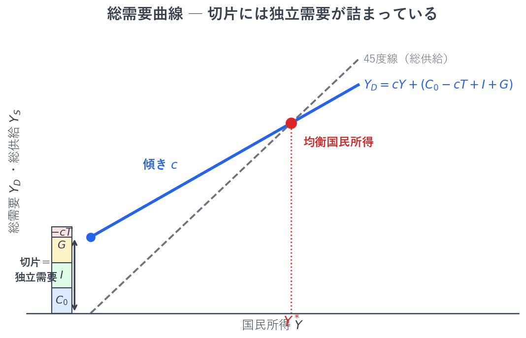 総需要曲線の傾きは限界消費性向で、45度線より必ず緩やかになります。切片には、独立消費・投資・政府支出がプラスの向きで、租税が限界消費性向を掛けたうえでマイナスの向きで入っています。この切片に乗数を掛けたものが均衡国民所得です。