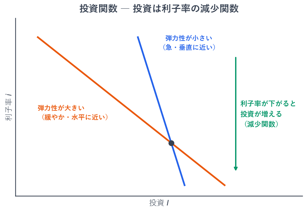 利子率が下がると投資が増えるので、投資関数は右下がりになります。これを減少関数といいます。投資の利子率弾力性が大きい経済では、利子率が少し変わるだけで投資が大きく変わるため、グラフは緩やかになります。弾力性が小さい経済では、グラフは急になります。