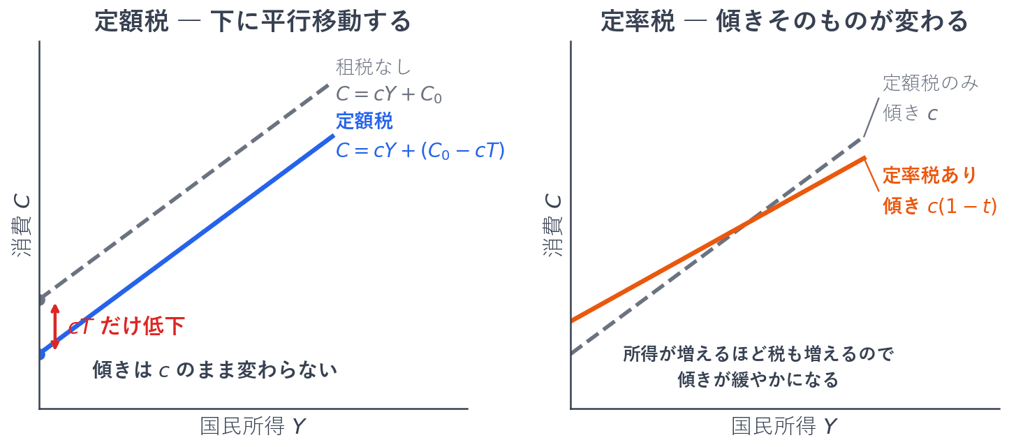 定額税がある場合は、傾きは限界消費性向のまま変わらず、切片が限界消費性向と租税を掛けた分だけ下がります。租税の額そのものではなく、その限界消費性向倍だけ下がる点に注意してください。定率税がある場合は、所得が増えるほど税額も増えるため、傾きそのものが限界消費性向かける税引き後の割合へと緩やかになります。