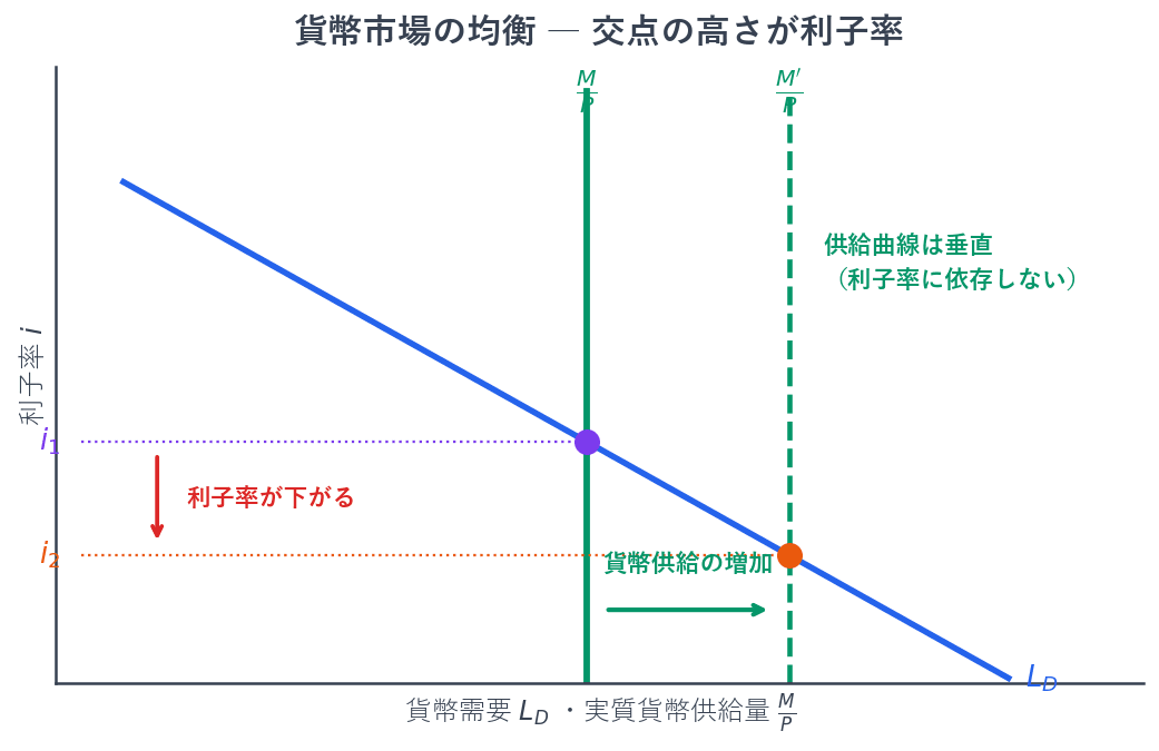 貨幣供給は中央銀行の方針で決まり、利子率に依存しないため、供給曲線は垂直になります。右下がりの需要曲線との交点の高さが均衡利子率です。貨幣供給を増やすと供給曲線が右に移動し、利子率が下がります。物価が上がった場合は実質貨幣供給量が減るので、逆に左へ移動します。