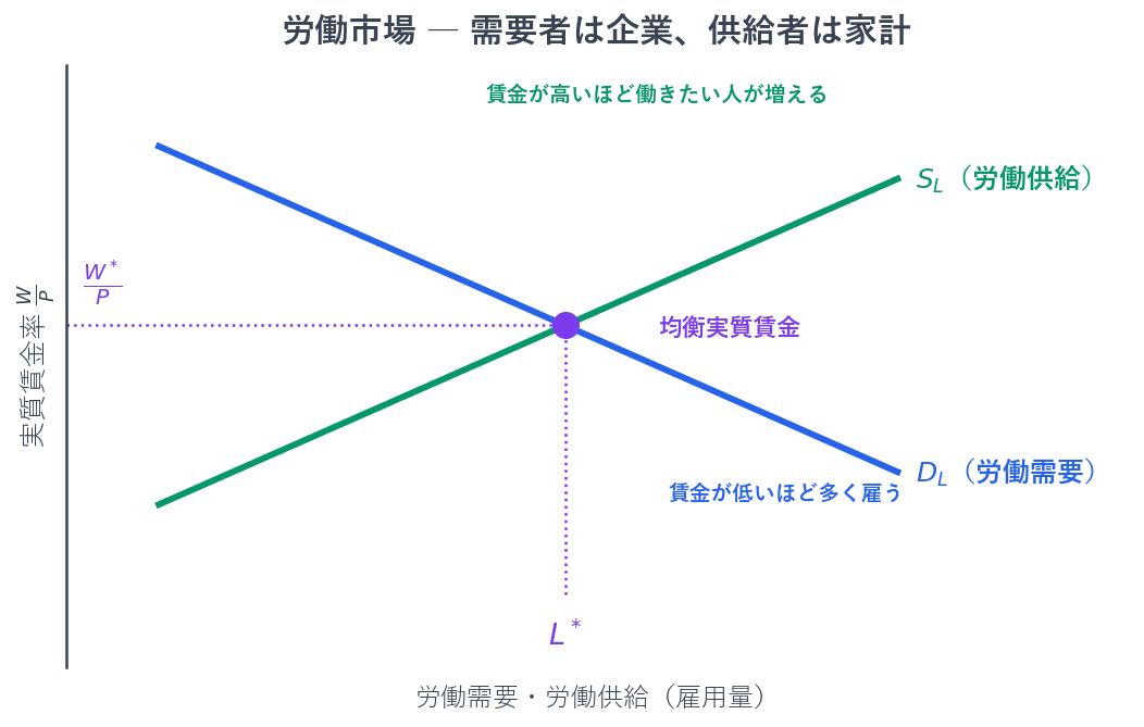 労働の需要者は企業で、実質賃金率が低いほど多くの人を雇おうとするので需要曲線は右下がりです。労働の供給者は家計で、実質賃金率が高いほど働きたい人が増えるので供給曲線は右上がりです。2本が交わるところで均衡実質賃金と雇用量が決まります。