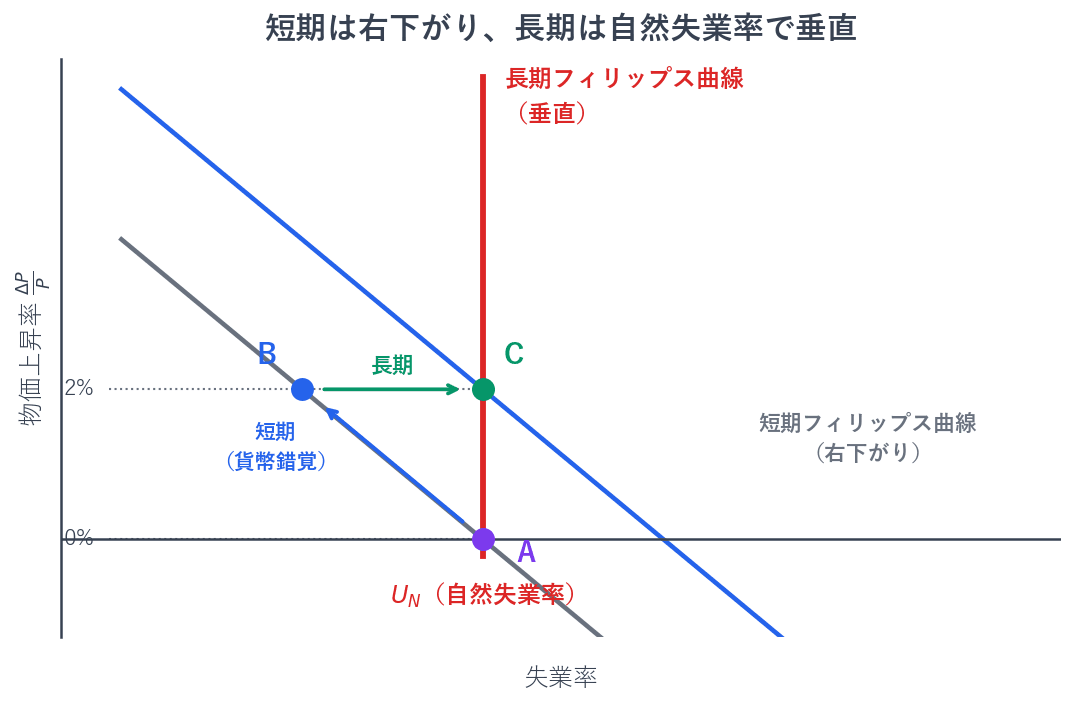 拡張的な政策で物価が上がると、労働者は名目賃金の上昇だけを見て働く量を増やすため、短期には失業率が下がります。点Aから点Bへの動きです。しかし実質賃金が変わっていないことに気づくと労働供給が戻り、失業率も自然失業率に戻ります。点Bから点Cへの動きです。物価上昇率だけが高いまま残るので、長期のフィリップス曲線は自然失業率の水準で垂直になります。