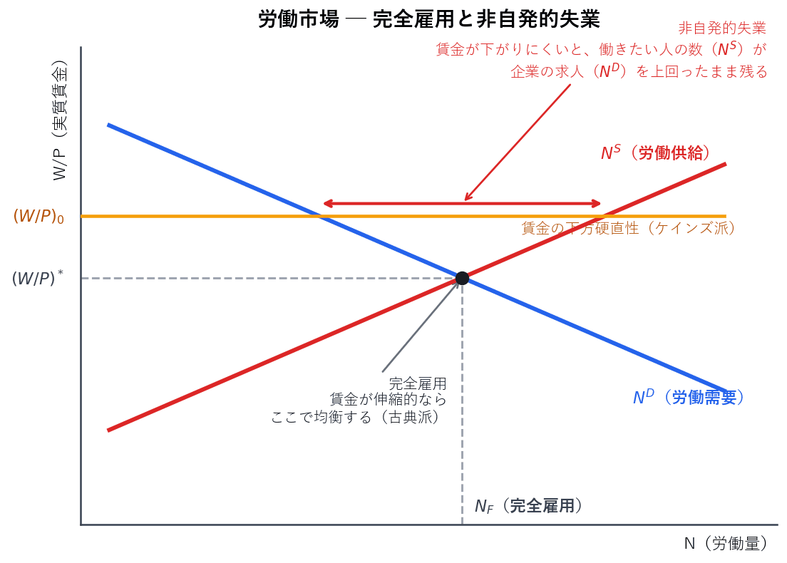 縦軸に実質賃金、横軸に労働量をとり、労働需要曲線と労働供給曲線を描いたグラフです。実質賃金が伸縮的なら交点で完全雇用が実現しますが、賃金に下方硬直性があると、働きたい人の数が企業の求人を上回ったまま残ります。これが非自発的失業です。