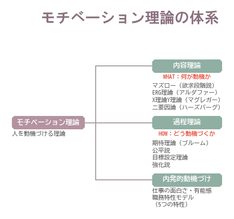 モチベーション理論を、内容理論・過程理論・内発的動機づけの3系統に分けて整理したツリー図です。内容理論は何が動機かを、過程理論はどう動機づくかを扱います。
